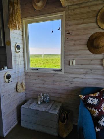 Appartement Surf Shack