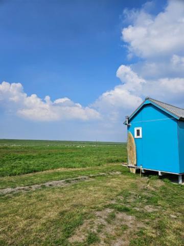 Surf Shack * Scharendijke