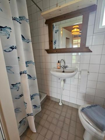 Surf Shack Appartement Scharendijke
